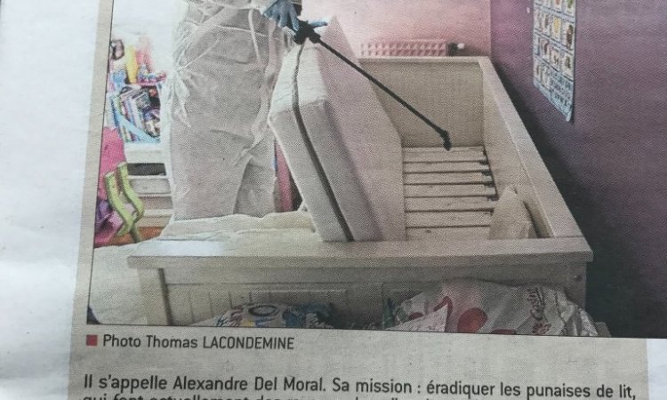 Article Le Progrès